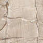 Pulsar Beige Керамогранит 80х80 Карвинг_0